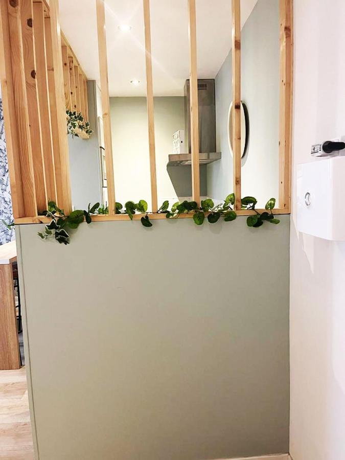 Lerelaisdodile23 - Parking - Lumineux - Hyper Centre Apartment วาลองเซียนส์ ภายนอก รูปภาพ